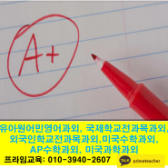 유아원어민영어과외,미국수학과외,AP수학과외, AP미국과학과외