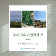 추석 연휴 가볼만한 곳: 국립자연휴양림 무료 개방!🍂🌲 (9월 16일~18일)