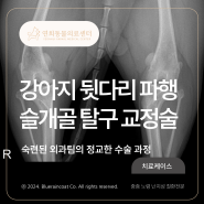 [24시 연희동물의료센터] 강아지 슬개골 탈구 수술, 파텔라 수술 / 인천 24시 동물병원