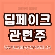 딥페이크 관련주 대장주식