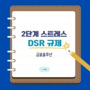 2단계 스트레스 DSR 규제 피하는 방법