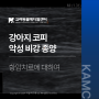 [고려동물메디컬센터] 개 구토, 비강종양, CT 촬영, 고칼슘혈증, 항암제, 항암치료