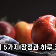 사과의 5가지 장점과 하루 권장량