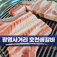 광명사거리 맛집, 광명 생갈비&양념갈비 TOP [호천생갈비]