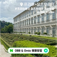 프라하에서 잘츠부르크 기차 Omio, OBB 예매 방법