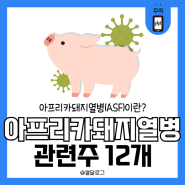 아프리카돼지열병 관련주 12개 무엇이 있을까