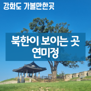 강화도 가볼만한곳 연미정 북한 땅이 보이는 곳