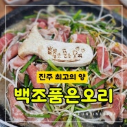 진주 백조품은오리 야채오리불고기맛집 칠암동 가성비최고