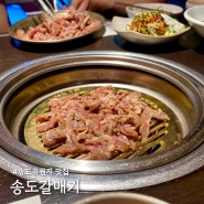 인천 송도유원지 맛집 송도갈매기 본점 자주 갔던 송도 고기집