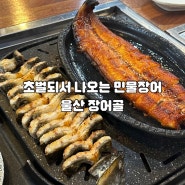 울산 장어골 : 구워주는 민물장어구이 달동 맛집