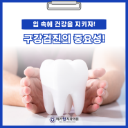 입속의 건강을 지키는 법: 효과적인 구강검진 주기 소개