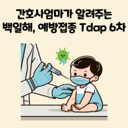 백일해 예방접종 Tdap 6차 디프테리아 파상풍 백일해