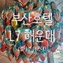 [부산여행 / 해운대호텔] 가성비 L7 해운대 숙소 (엘세븐해운대)