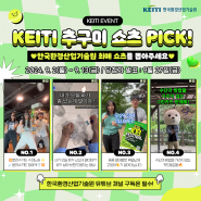 KEITI 추구미 쇼츠 PICK! EVENT!