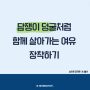 담쟁이 덩굴처럼 여유로운 마음으로 9월 맞이하기