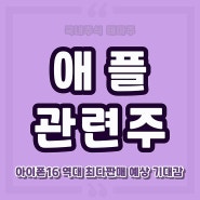 애플 관련주 아이폰 대장주식