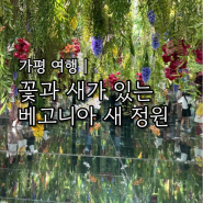 가평 실내 아이와 가볼만한곳 베고니아 새 정원 가격 후기