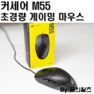 초경량 게이밍 마우스, 커세어 M55 가성비 최강!