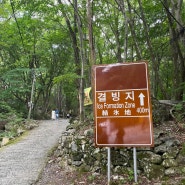 [밀양여행] 한여름에도 시원한 밀양 <얼음골 결빙지>다녀온 후기!