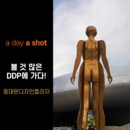 [a day a shot] 볼 것 많은 동대문디자인플라자(DDP)에 가다! 다양한 전시와 곧 열릴 서울패션위크 2025 SS !