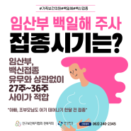 임산부 백일해 주사 접종시기 안내