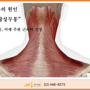 장지역 두통치료 해봄!한의원