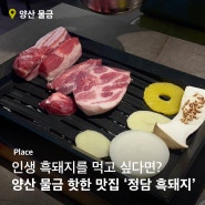 양산 물금 구워주는 고깃집 흑돼지 맛집 '정담' 주차 / 예약