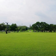 충주 중앙탑공원 이리오너라 여주 카페