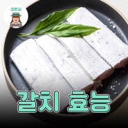 갈치 효능 국민 생선 갈치 비린내 잡으려면