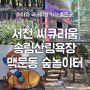 아이와 가기 좋은 서천 씨큐리움(국립해양생물자원관), 장항 스카이워크 맥문동