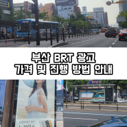 부산 BRT 광고 가격 및 진행 방법 안내