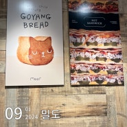 식빵이 맛있는 밀도 스타필드 고양점