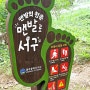 서구 맨발 걷기 코스 발산근린공원