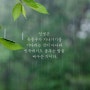 [ 좋은 글 } 반쪽을 보는 일 - 황주현 / 성수동 카페에서 일할 때 듣는 lofi playlist - chill in the cafe Playlist