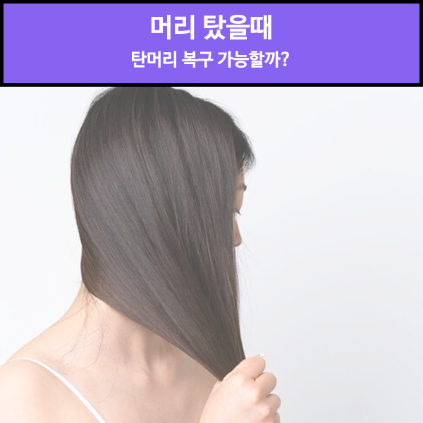 머리 탔을때 탄머리 복구 가능할까? : 네이버 블로그