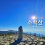 [100대명산] 소백산 비로봉 등산코스 소요시간, 죽령탐방-제2연화봉-소백산천문대-연화봉(일출)-제1연화봉(백두대간)-소백산 비로봉(BAC인증)-천동계곡-천동탐방-다리안관광지주차장