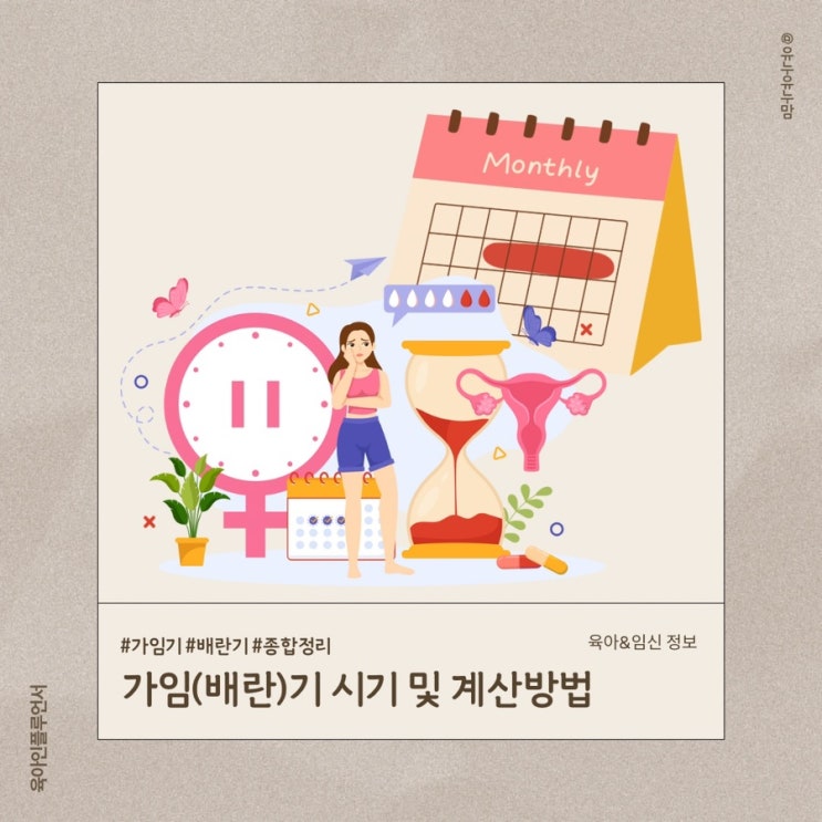 가입기 배란기 계산방법 및 시기 종합정리 : 네이버 블로그