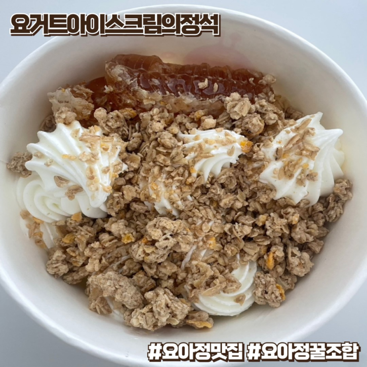 요거트아이스크림의정석 요아정 꿀조합 메뉴 후기 : 네이버 블로그