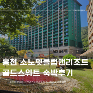 소노펫 클럽앤리조트 홍천 비발디파크 강아지동반 1박2일 가족여행 골드스위트파크뷰 힐링가득한 반려견숙소