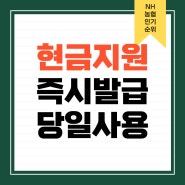 NH 농협카드 무이자할부 종류 발급 혜택 정리