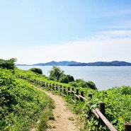 영종도 예단포 둘레길 인천에서 가본 제주 감성 둘레길