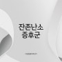 강아지 중성화 후 발정, 잔존난소증후군이에요 [수서 강아지 CT]