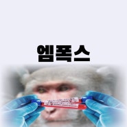 엠폭스 초기 증상 치료 감염경로 백신 완치 가능할까