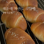 부산 빵지순례 맛집 해운대 자연도 소금빵 빵 나오는 시간 주차 웨이팅 시그니엘 엘시티