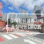 김해 장유 율하카페 홍철책빵 CIRCUS