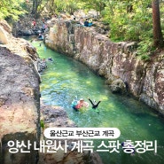 양산 내원사계곡 스팟 주차 계곡포인트 총정리