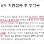 애견예방접종, 꼭 맞아야할까? 13년 경력 수의사가 알려드립니다