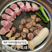 제주 아쿠아플라넷 맛집 돌담애성산흑돼지