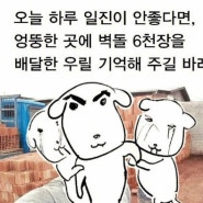 눈에 나방이 떨어지다