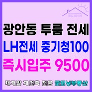 광안동 LH전세 신축 투룸 중기청100 가능